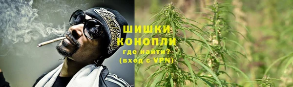 амф Белокуриха