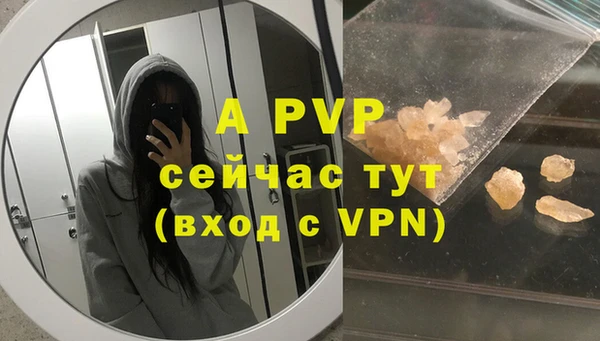 амф Белокуриха