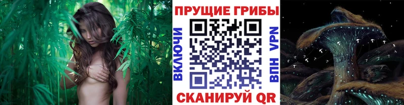 Галлюциногенные грибы ЛСД  Озёрск 